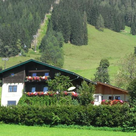 Ferienhaus Regina Werfenweng Exterior foto
