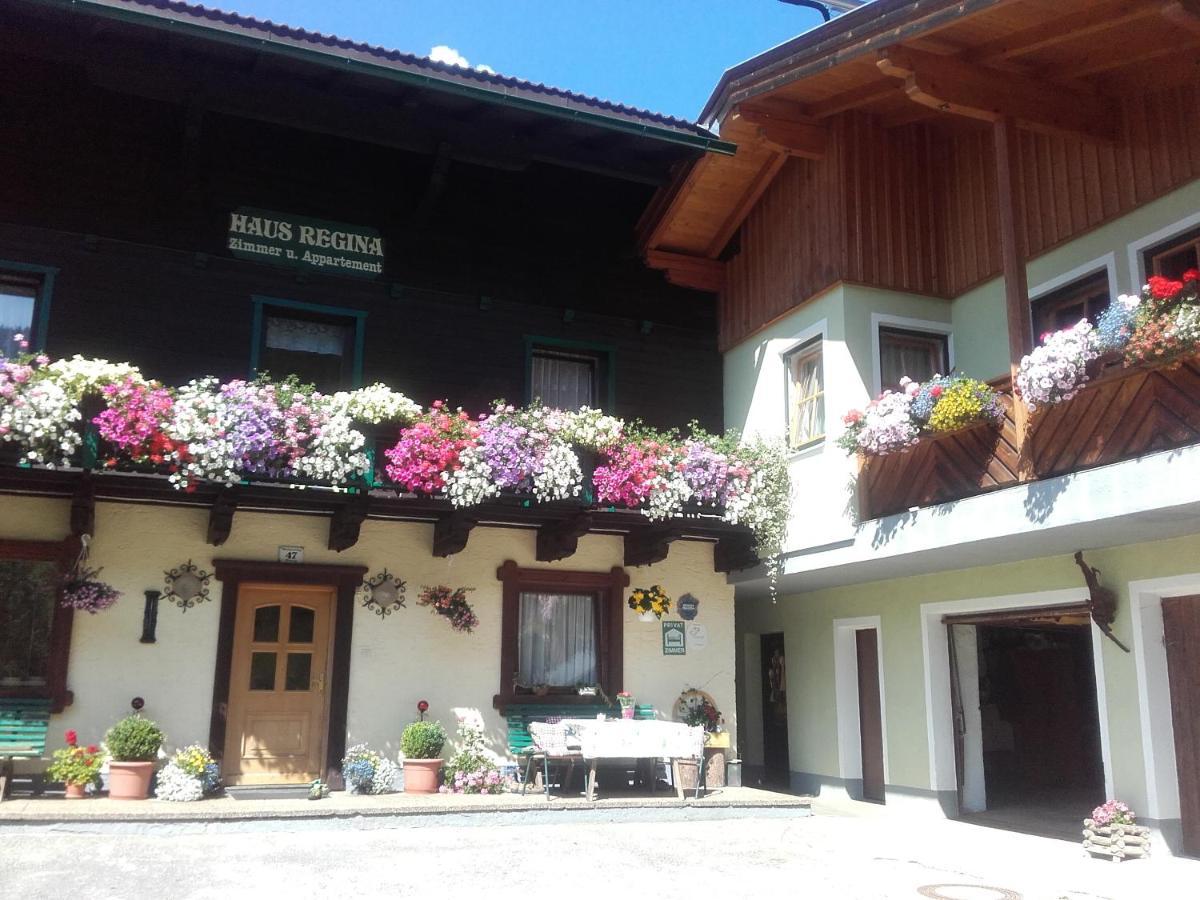 Ferienhaus Regina Werfenweng Exterior foto