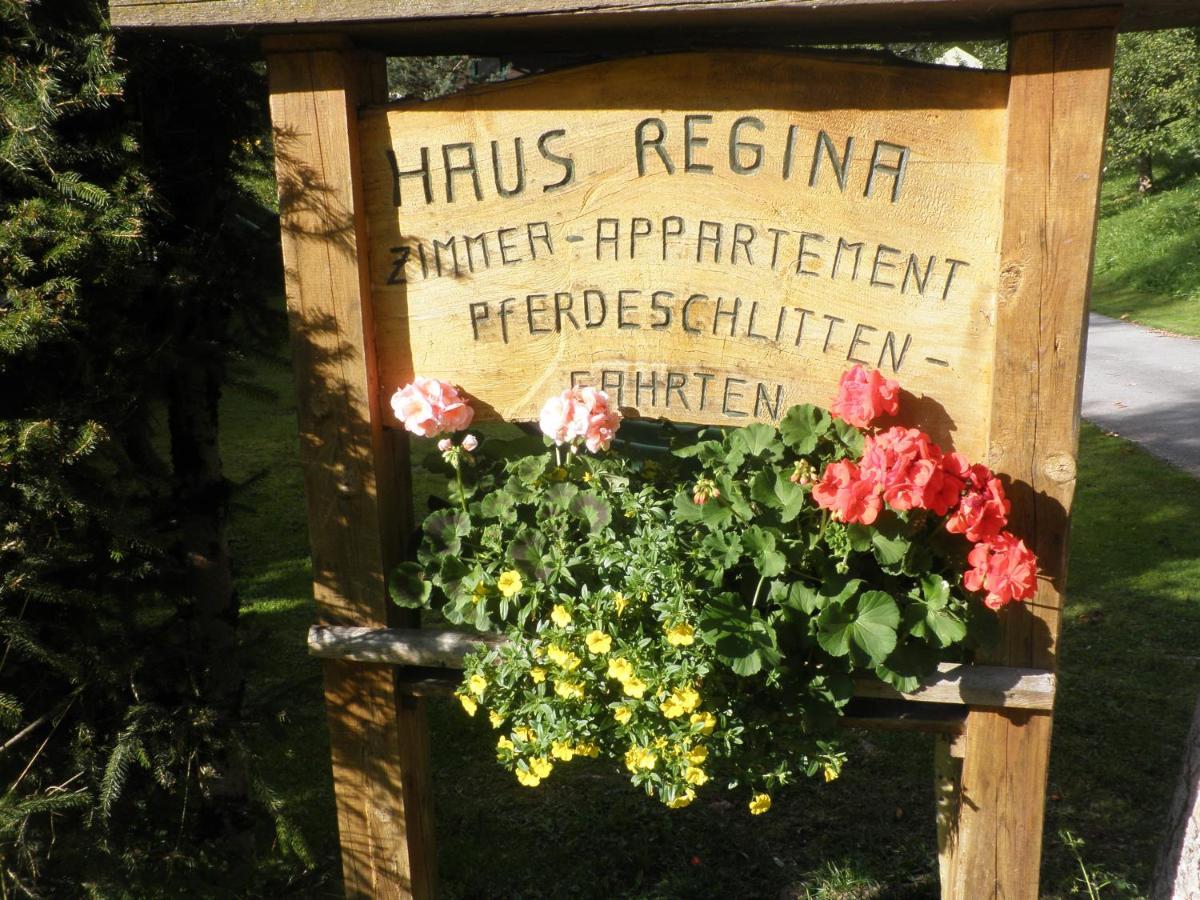 Ferienhaus Regina Werfenweng Exterior foto